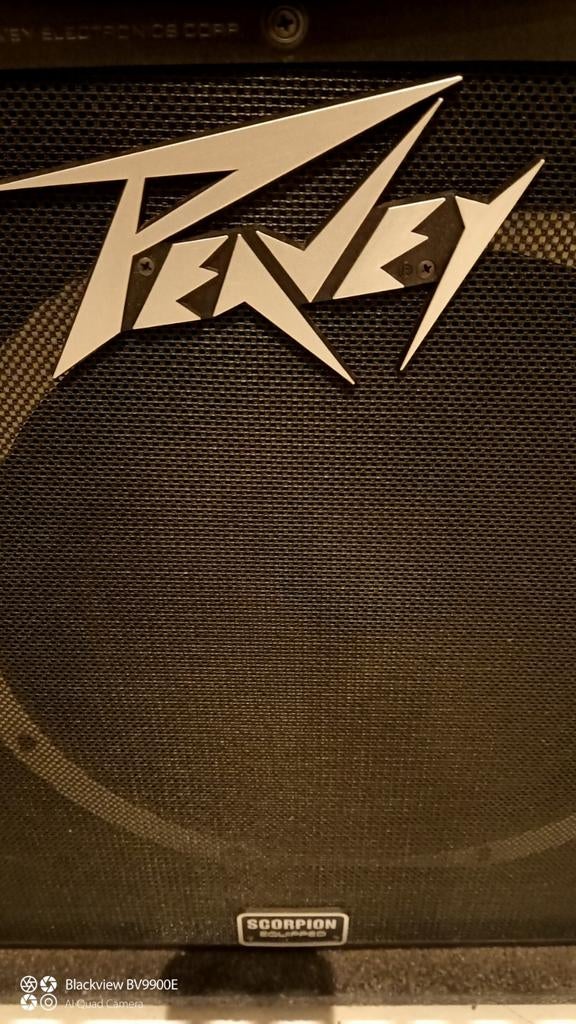 Peavey KB300 (Scorpion)., Muziek en Instrumenten, Ophalen