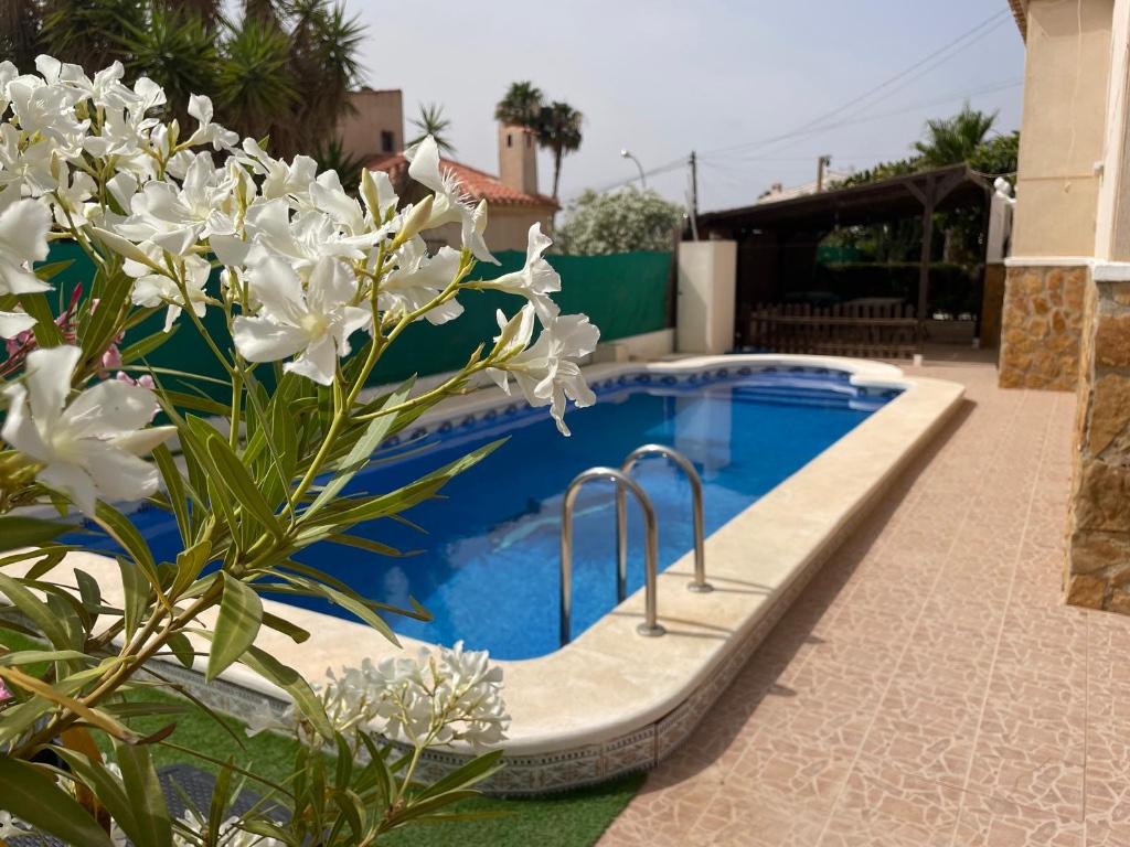 VAKANTIE SPANJE TORREVIEJA, Vakantie, Vakantiehuizen | Spanje, Costa Blanca, Landhuis of Villa, Stad, Aan zee, Aan meer of rivier