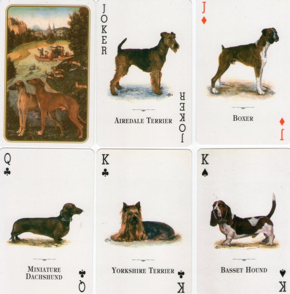 speelkaarten honden, Ophalen of Verzenden, Nieuw, Meerdere kaarten