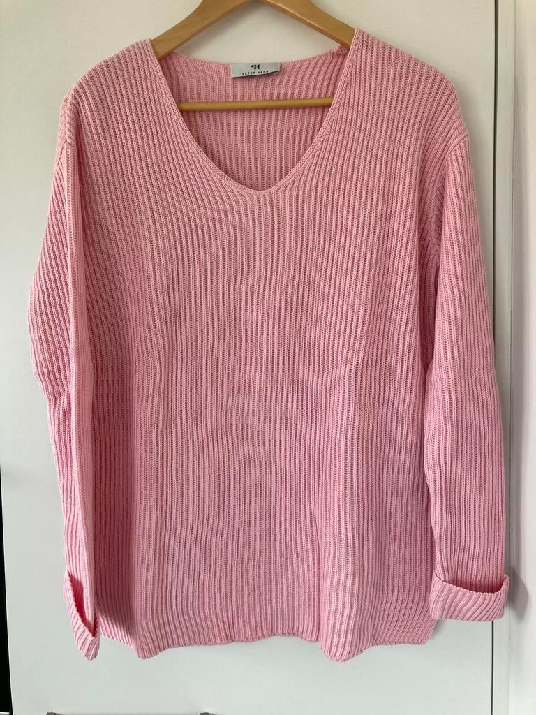 Katoenen pull Peter Hahn maat 36, Kleding | Dames, Ophalen of Verzenden, Nieuw, Maat 36 (S)