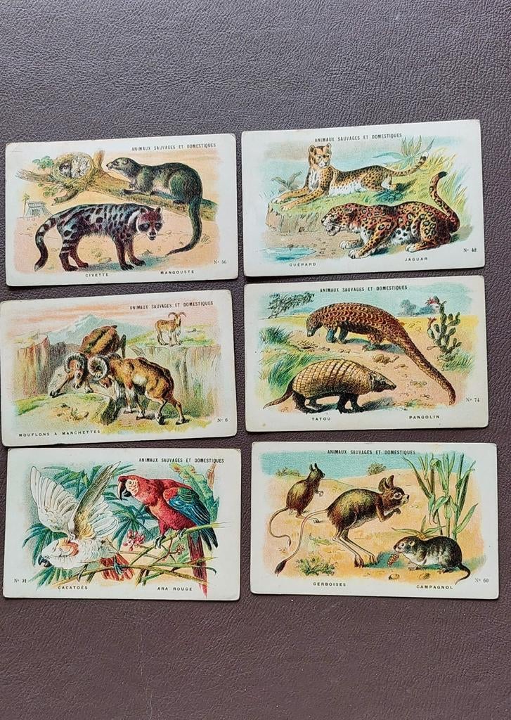 Gravures anciennes. Animaux et sauvages domestiques. Nathan, Enlèvement ou Envoi