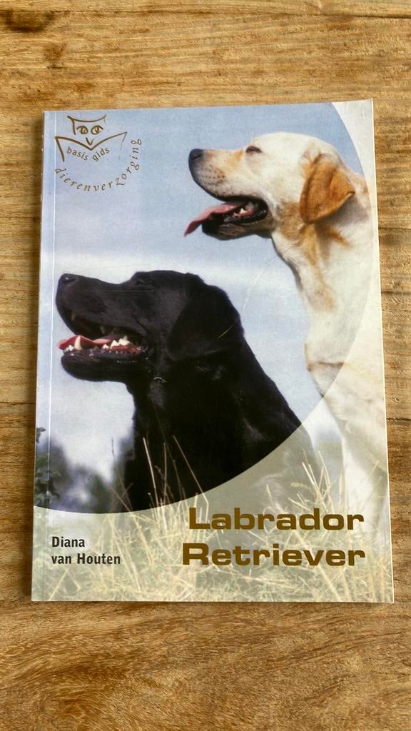 Labrador Retriever, Ophalen of Verzenden, Zo goed als nieuw