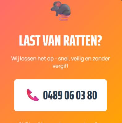 Ratten Probleem Wij lossen dit op zonder vergif., Dieren en Toebehoren, Januari, Meerdere dieren