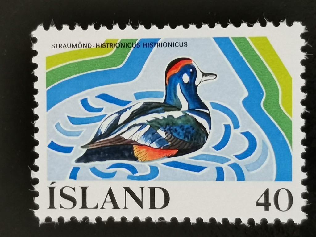 Islande 1977 - protection de l'eau - oiseaux - canard **, Timbres & Monnaies, Enlèvement ou Envoi, Islande, Non oblitéré