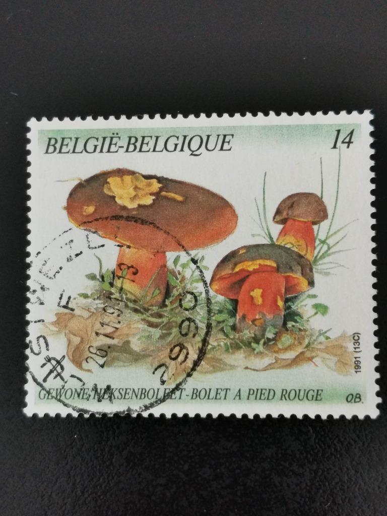 Belgique 1991 - champignons - Bolet à pied rouge, Enlèvement ou Envoi, Affranchi