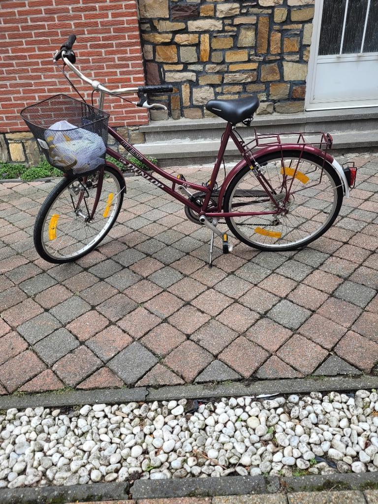 Diverse fietsen te koop, Femmes, Enlèvement, Autres types, Acier