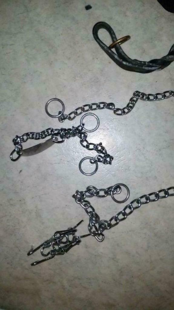 Collier ou Harnais chien  pièces precise quel objet, Ophalen, Zo goed als nieuw