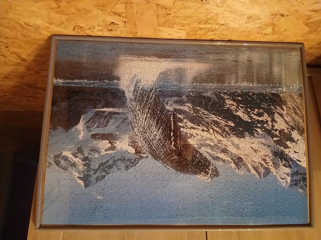 Puzzle avec baleine., Enlèvement, Comme neuf