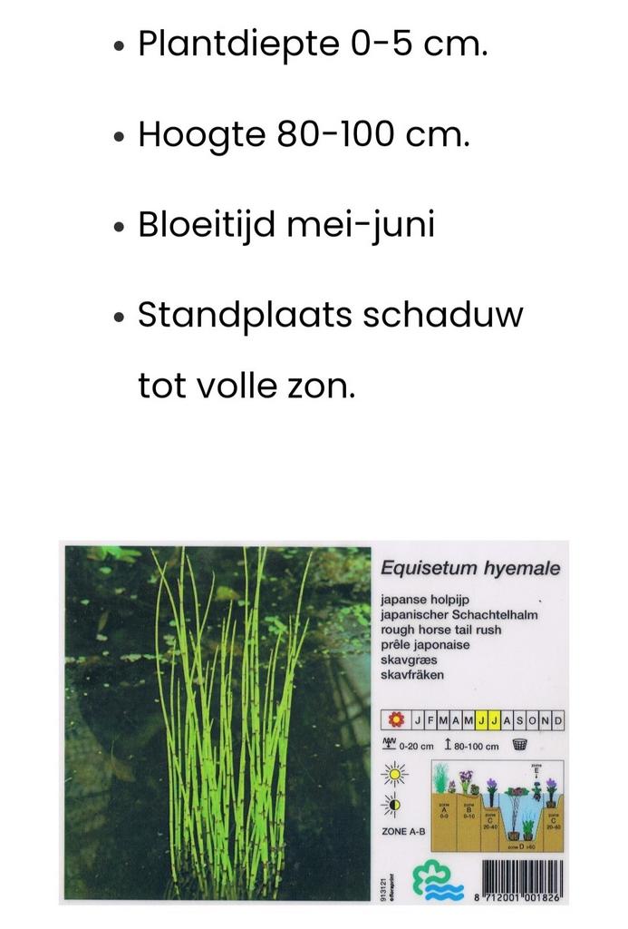 JAPANSE HOLPIJP, Tuin en Terras, Ophalen