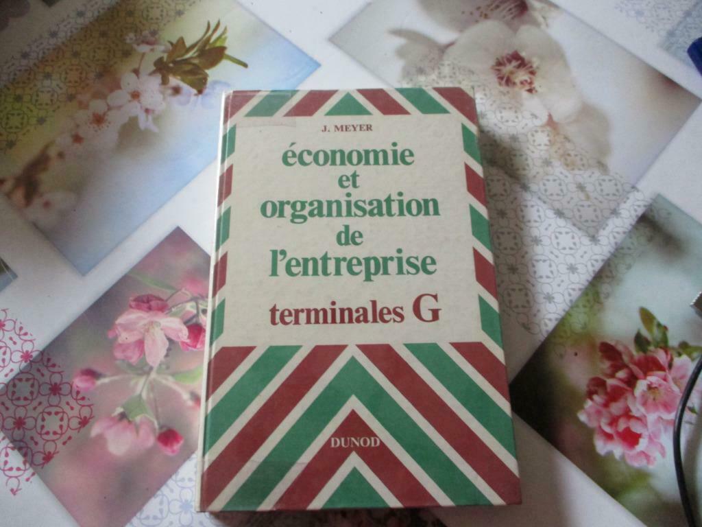 "ECONOMIE ET ORGANISATION DE L'ENTREPRISE".  J. MEYER., Ophalen of Verzenden, Zo goed als nieuw, Hoger Onderwijs