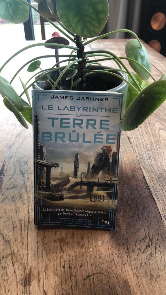 Livre Terre brûlée / James Dashner, Livres, Science-fiction, Neuf, Enlèvement ou Envoi