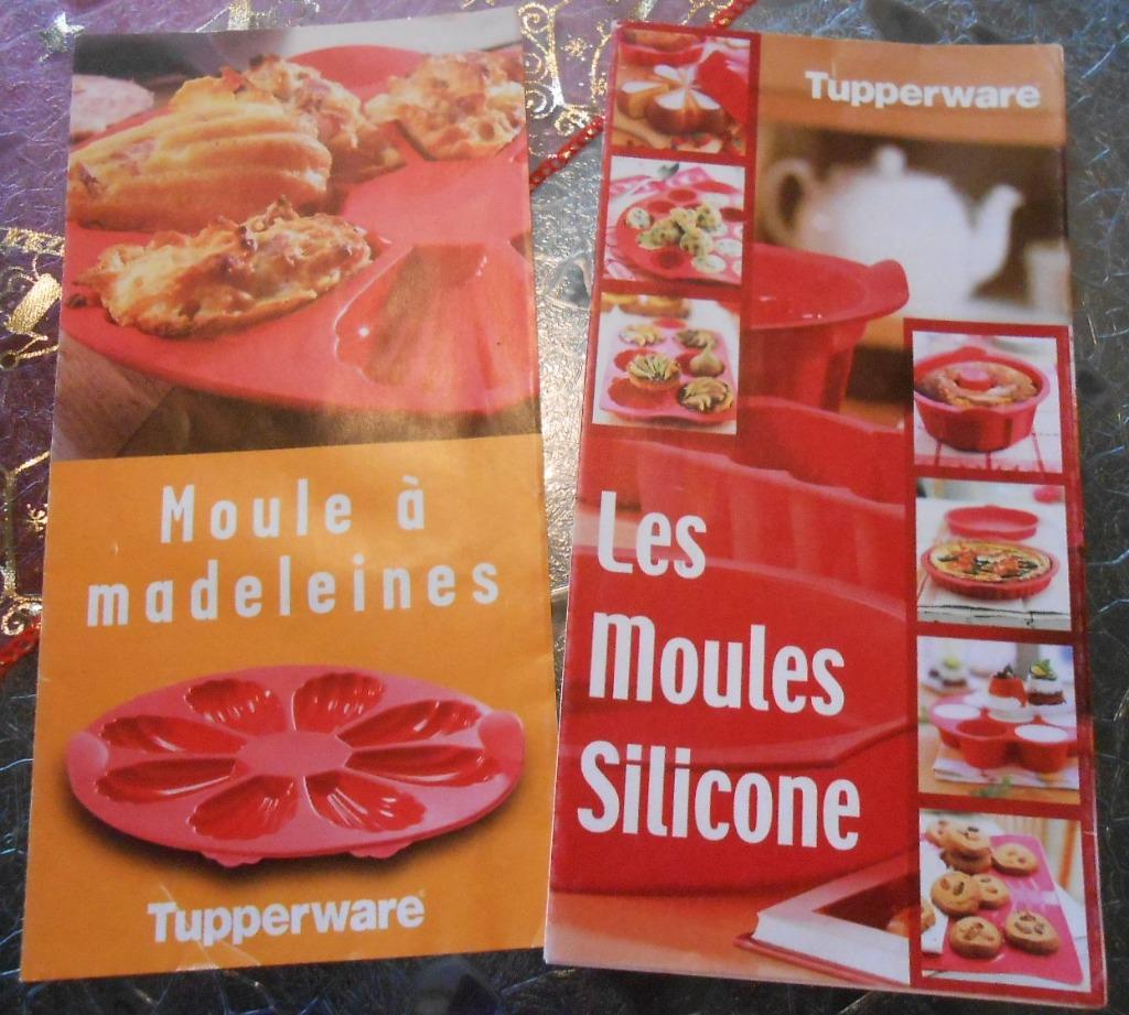 2 dépliants de recettes adaptées aux moules silicone cités, Ophalen of Verzenden, Nieuw
