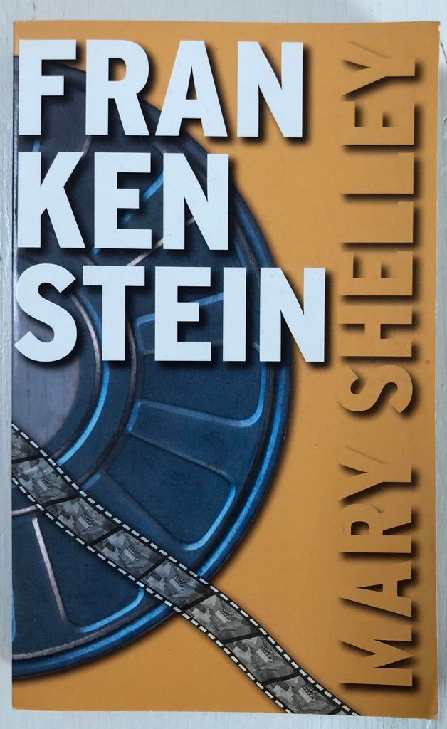 boek Frankenstein Mary Shelley Nederlandse versie, Boeken, Ophalen of Verzenden, Gelezen