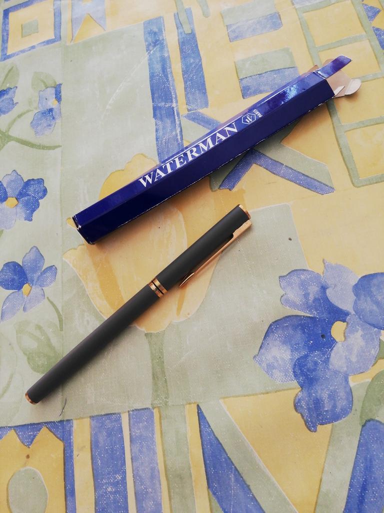 Stylo plume Waterman gris. Neuf., Ophalen of Verzenden, Zo goed als nieuw, Vulpen, Waterman