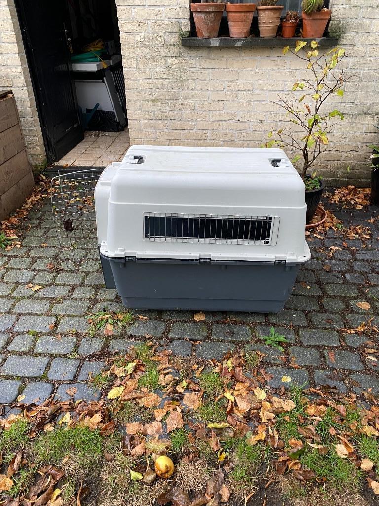 Hondenbench, Dieren en Toebehoren, Ophalen, Gebruikt
