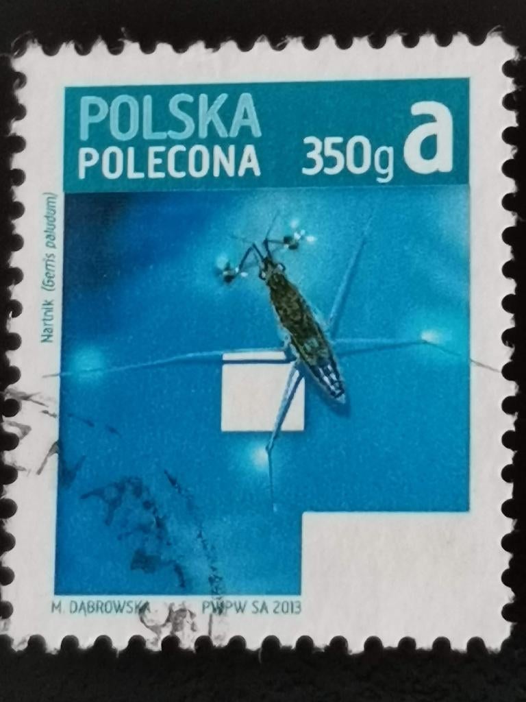 Polen 2013 - fauna - insecten -  grote schaatsenrijder, Ophalen of Verzenden, Polen, Gestempeld