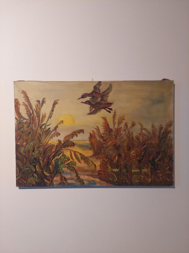 Vintage schilderij: Eenden in het moeras - Olieverf op doek, Antiek en Kunst, Kunst | Schilderijen | Klassiek, Ophalen of Verzenden