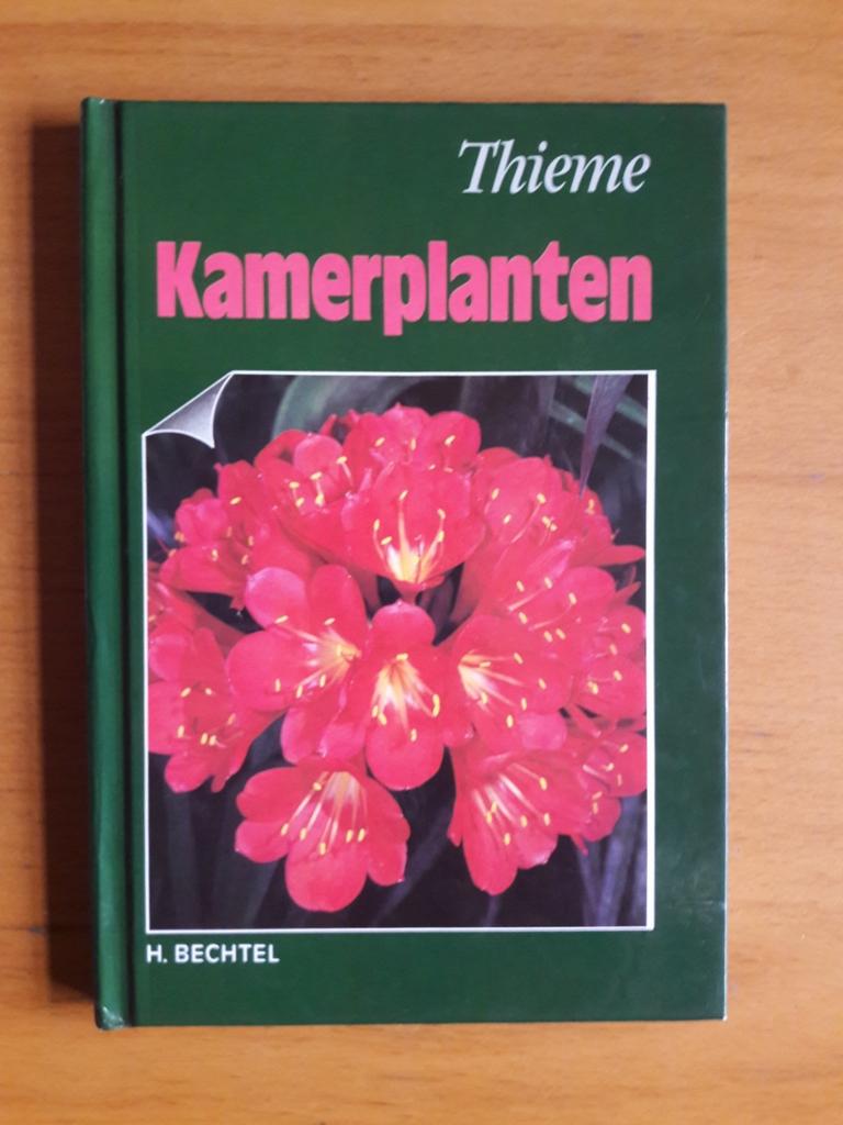 Kamerplanten Thieme, Ophalen of Verzenden, Zo goed als nieuw, Kamerplanten