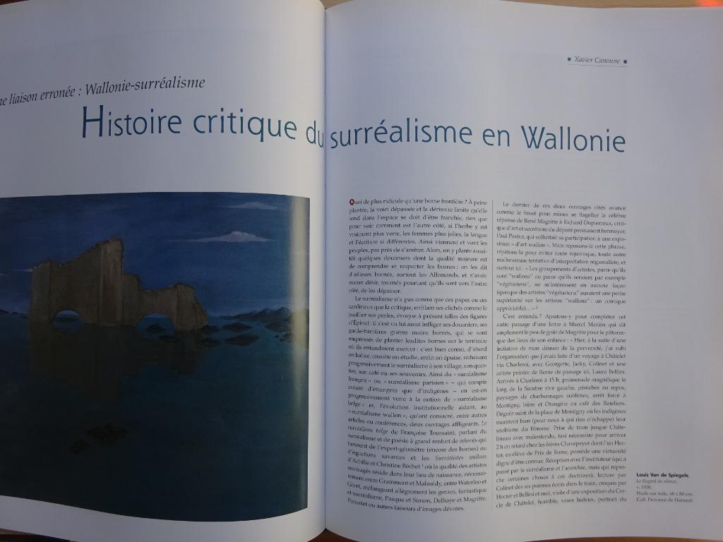 L'art en Wallonie - XXe Siècle - Dexia - 2001, Serge goyens de heusch, Peinture et dessin, Enlèvement ou Envoi, Comme neuf