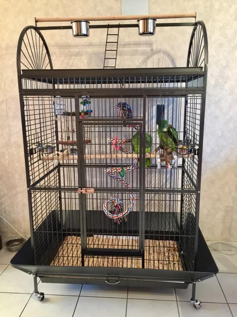 Cage perroquet ARA cage cacatoes cage amazone gris du gabon, Envoi, Neuf, Métal, Volière