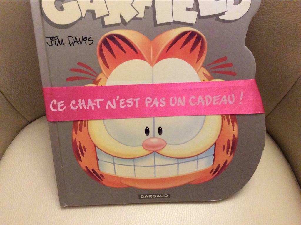 GARFIELD.     JIM. DAVIS.  . Boek    Nieuw, Ophalen of Verzenden, Nieuw