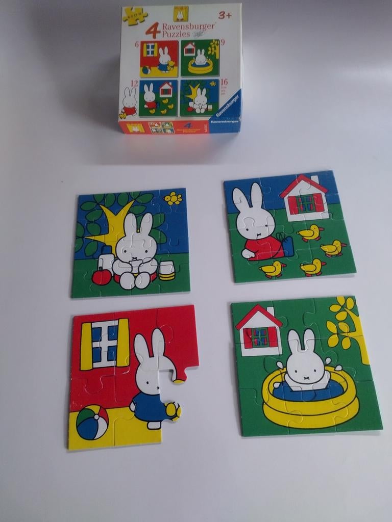 Puzzel Nijntje, Enlèvement