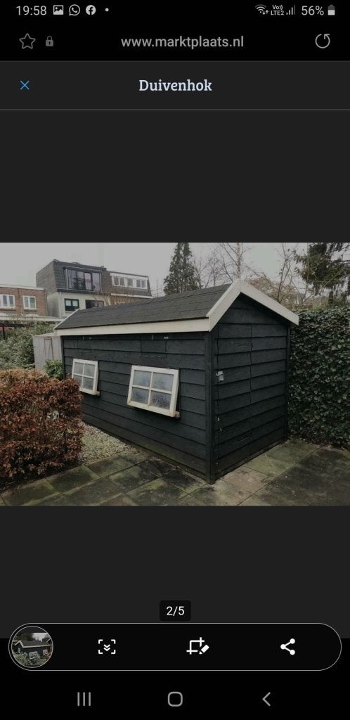 Duivenhok