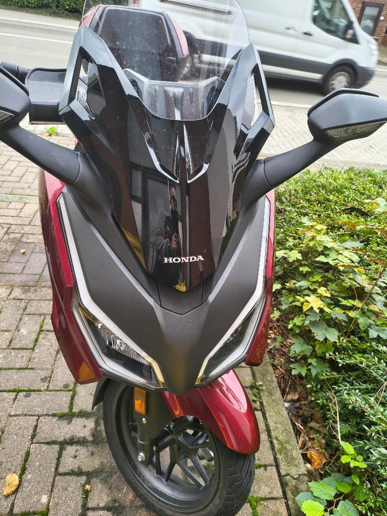 Honda Forza édition spéciale, Motoren, Motoren | Honda, Nieuw, Particulier, Minimaal motorrijbewijs A2, Automaat