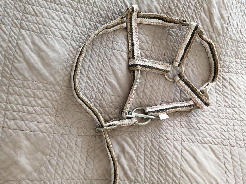 Halster voor ezel (of pony), Overige disciplines, Grijs, Nieuw, Ophalen of Verzenden