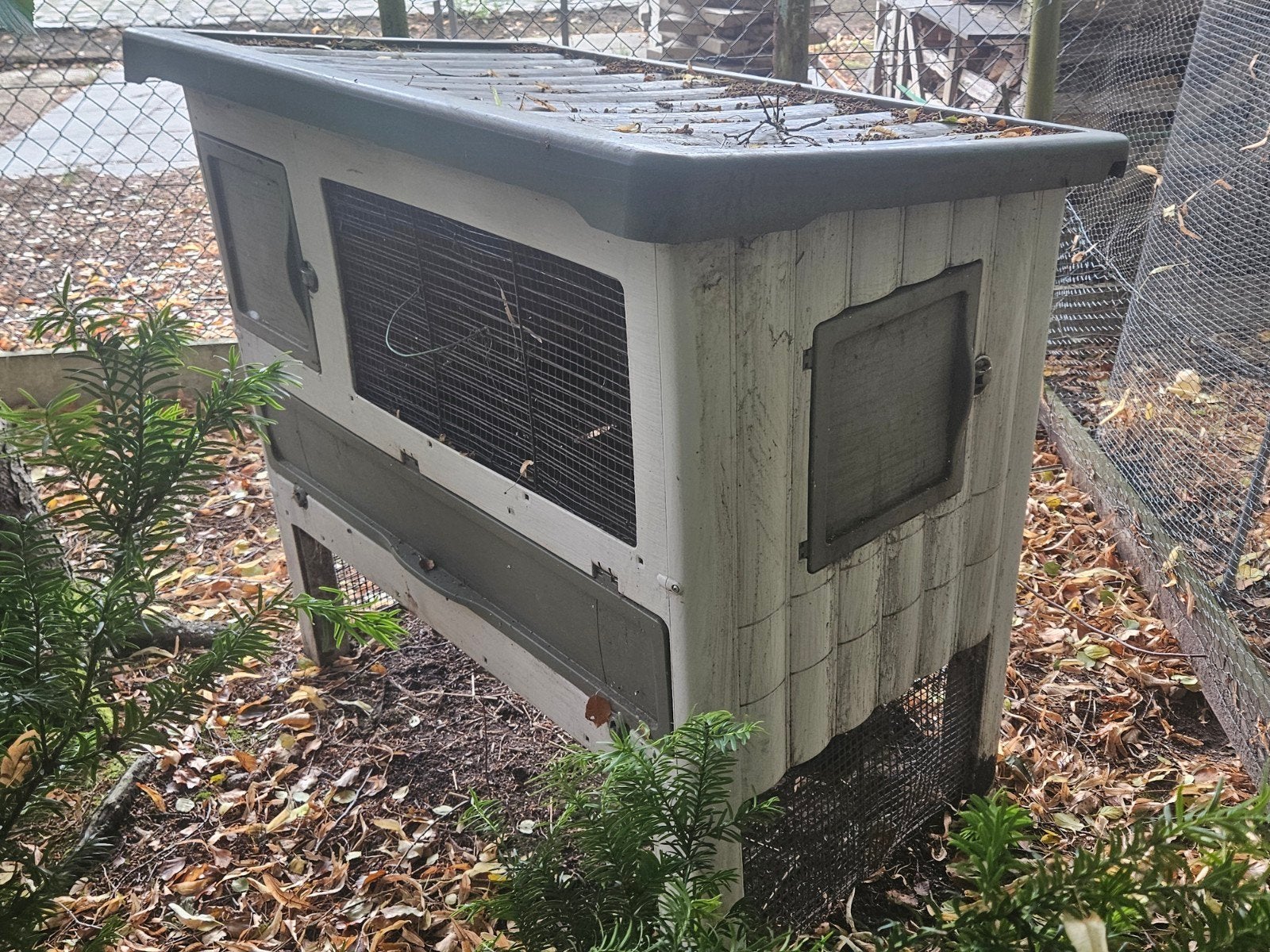 cavia of konijnen verblijf met nachthok van merk Ferplast,, Ophalen, Hamster, 90 cm of meer, Hok