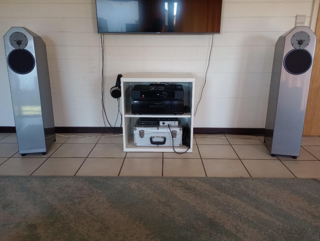 Egglestonworks Dianne amerikaanse HiFi speakers, Audio, Tv en Foto, Ophalen, Gebruikt, 60 tot 120 watt, Overige merken