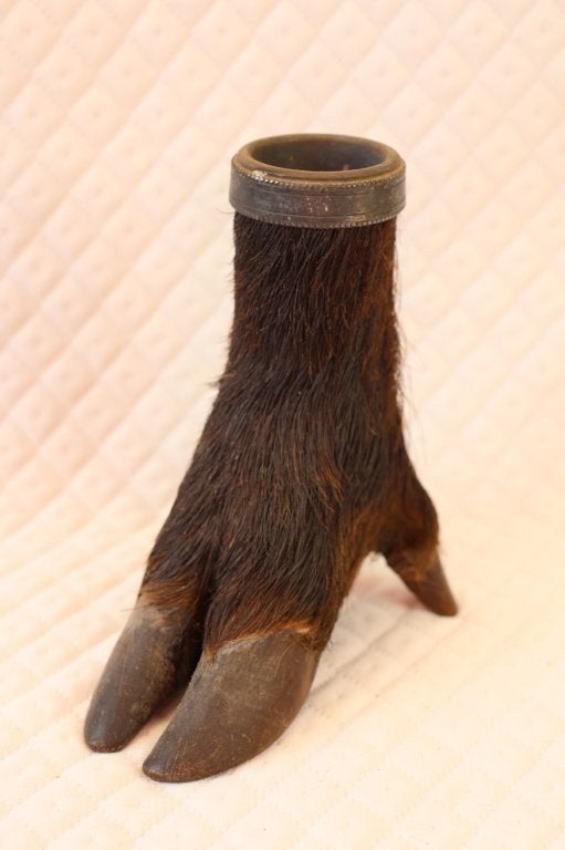 taxidermie - opgezette everzwijnpoot inktpot, Ophalen of Verzenden, Gebruikt, Overige typen