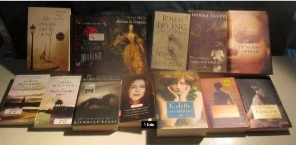 28 Goede Nederlandstalige Romans, Boeken, Ophalen of Verzenden, Zo goed als nieuw