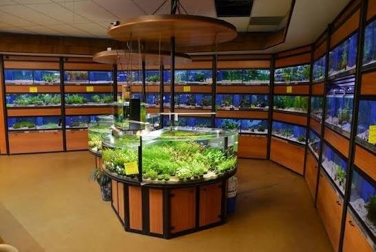 Aquarium stellingen - 5 stellingen en 1 keukeneiland