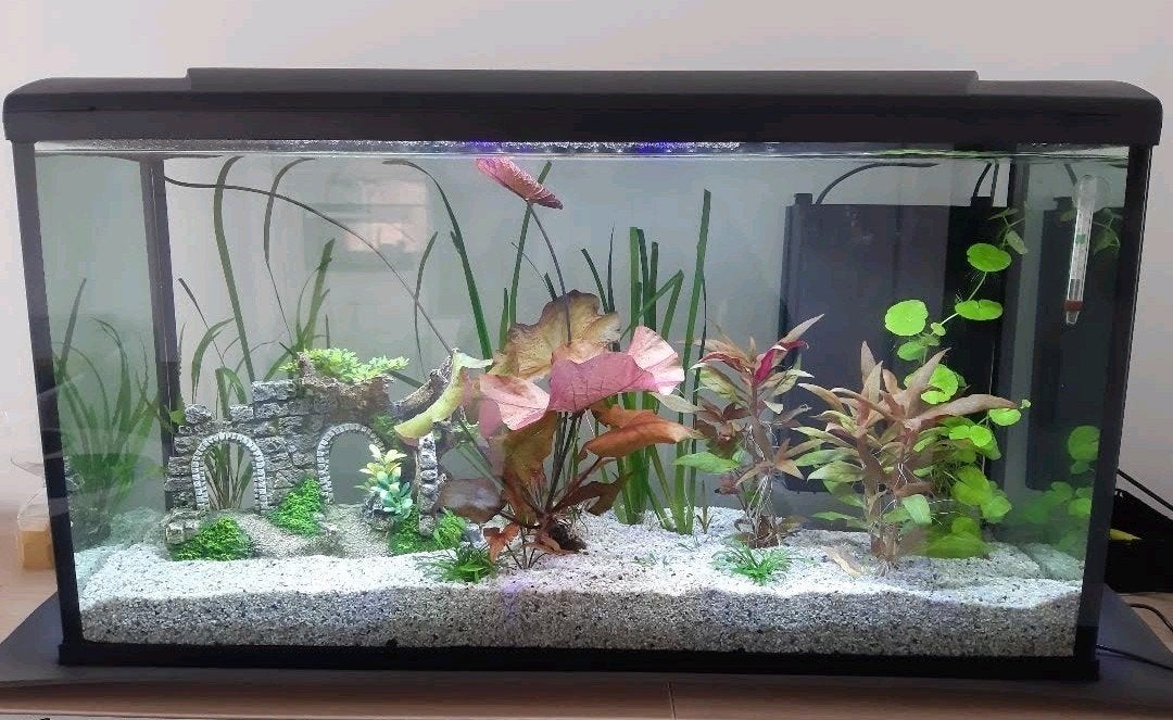 Aquarium HS Aqua, Dieren en Toebehoren, Ophalen, Decoratie, HS Aqua, Zo goed als nieuw