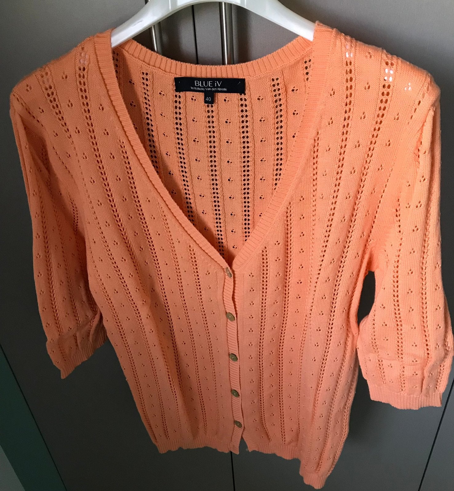 Gilet Blue IV.. nieuw..40, Vêtements | Femmes, Vêtements Femmes Autre, Enlèvement, Neuf