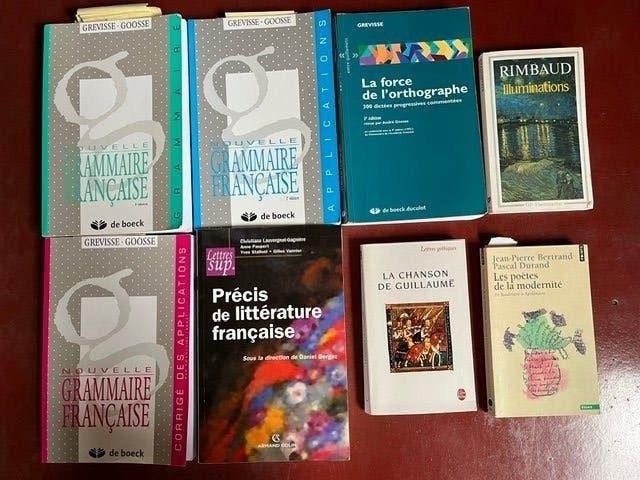 Lot Franstalige boeken littérature française, Envoi, Utilisé