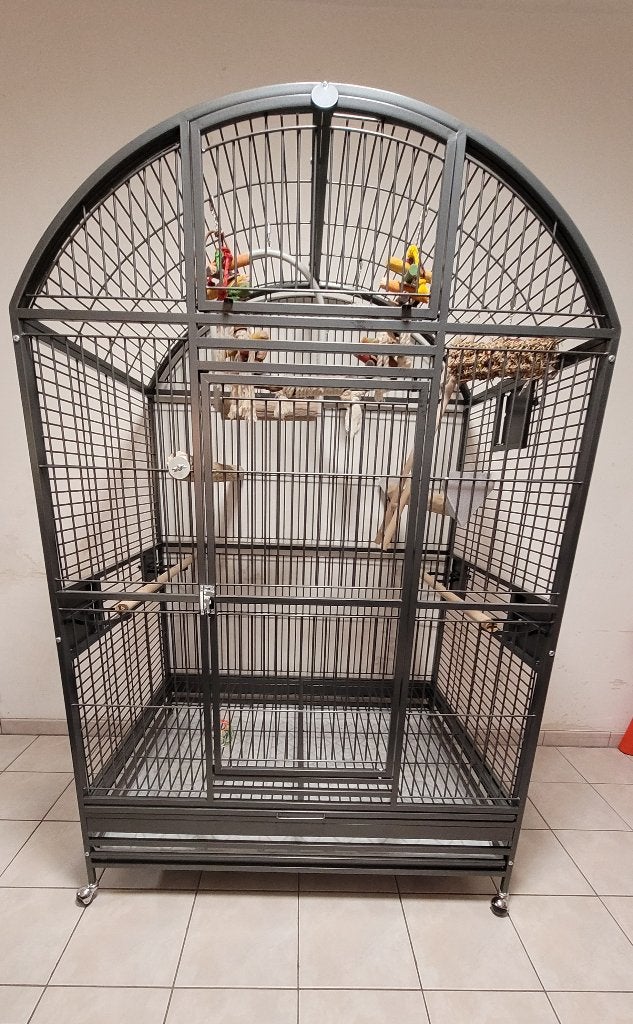 Montana XXL papegaaienkooi + zitstokken en spelletjes, Ophalen, Zo goed als nieuw, Metaal, Vogelkooi