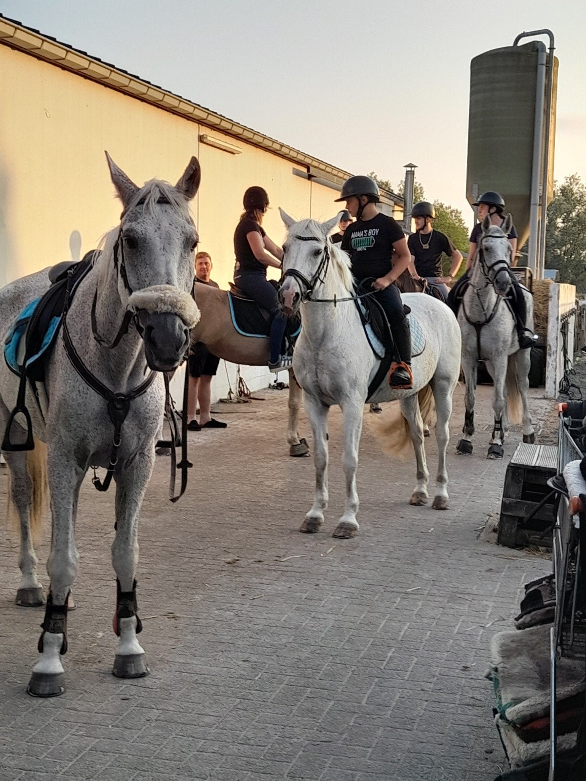 équitation en bord de mer, Enlèvement ou Envoi