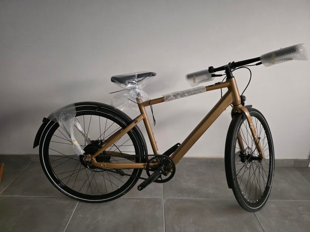 Elektrische fiets Rabeneick TX E 50, Fietsen en Brommers, Elektrische fietsen, Ophalen