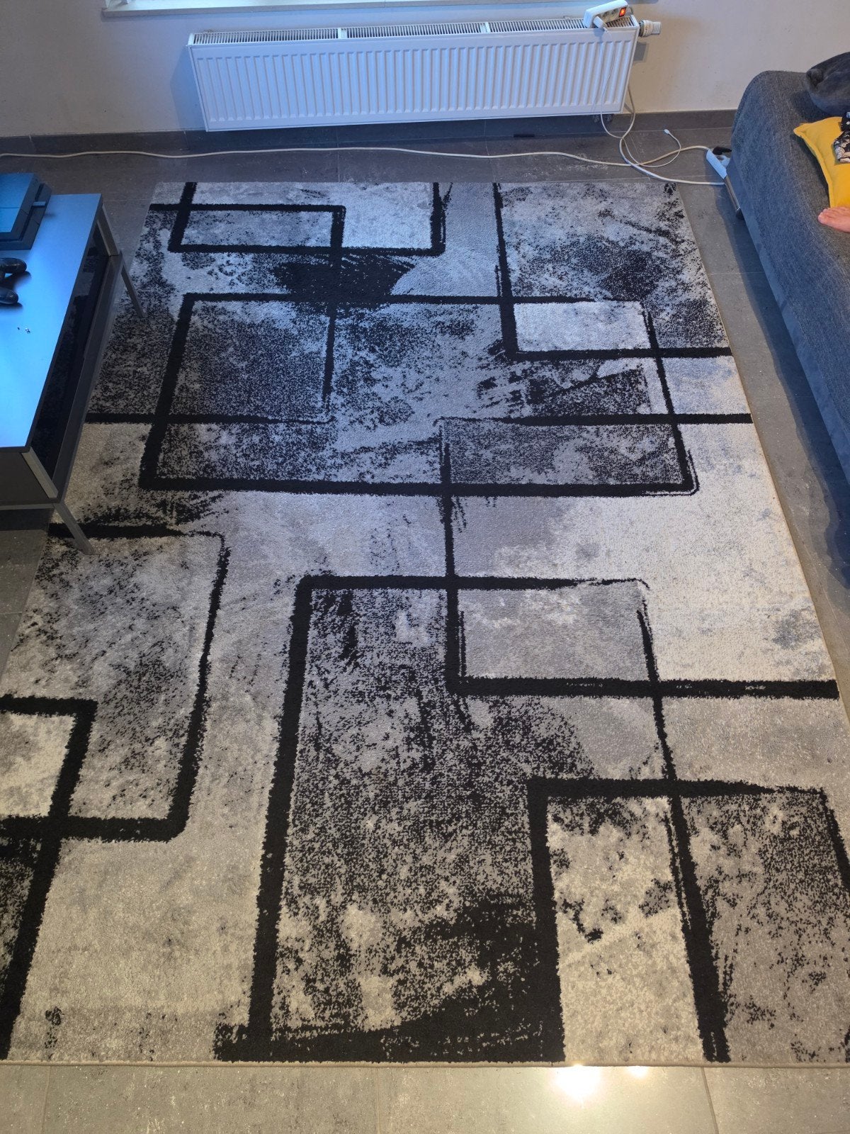 Tapis gris Salon, Enlèvement, Tapis