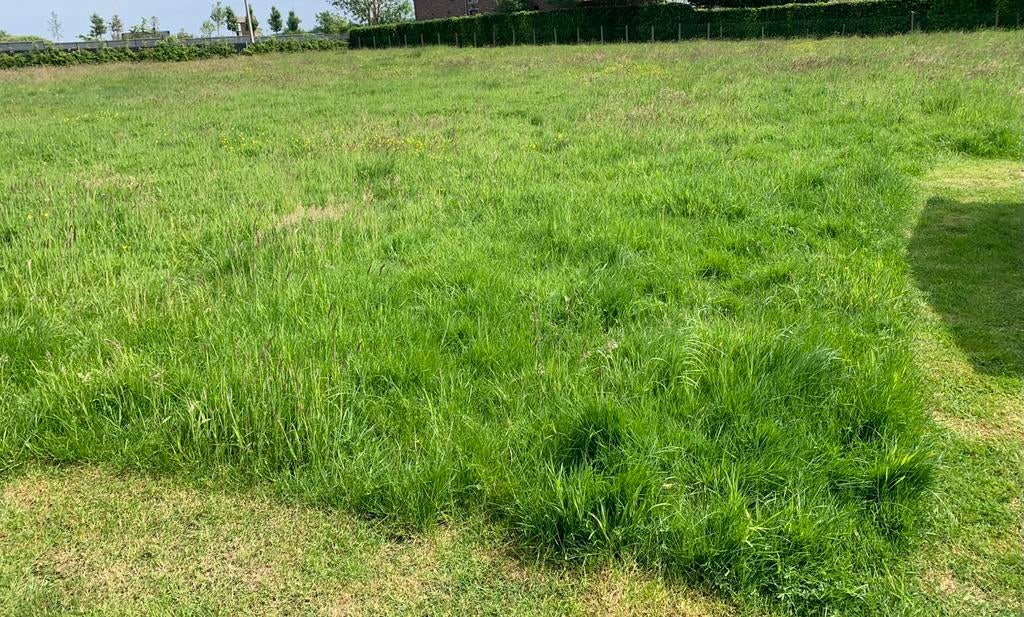 Weide te huur, Dieren en Toebehoren