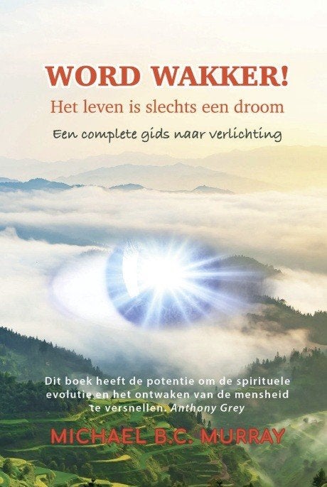 Word wakker! Het leven is slechts een droom, Michael Murray, Ophalen of Verzenden, Zo goed als nieuw