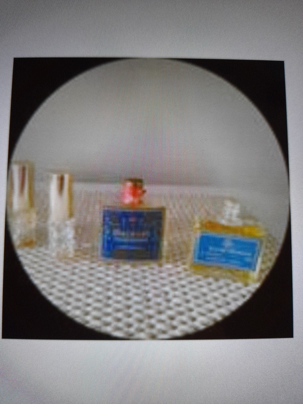 Set de 2 vaporisateurs de 2 flaconsdes années 1950/6