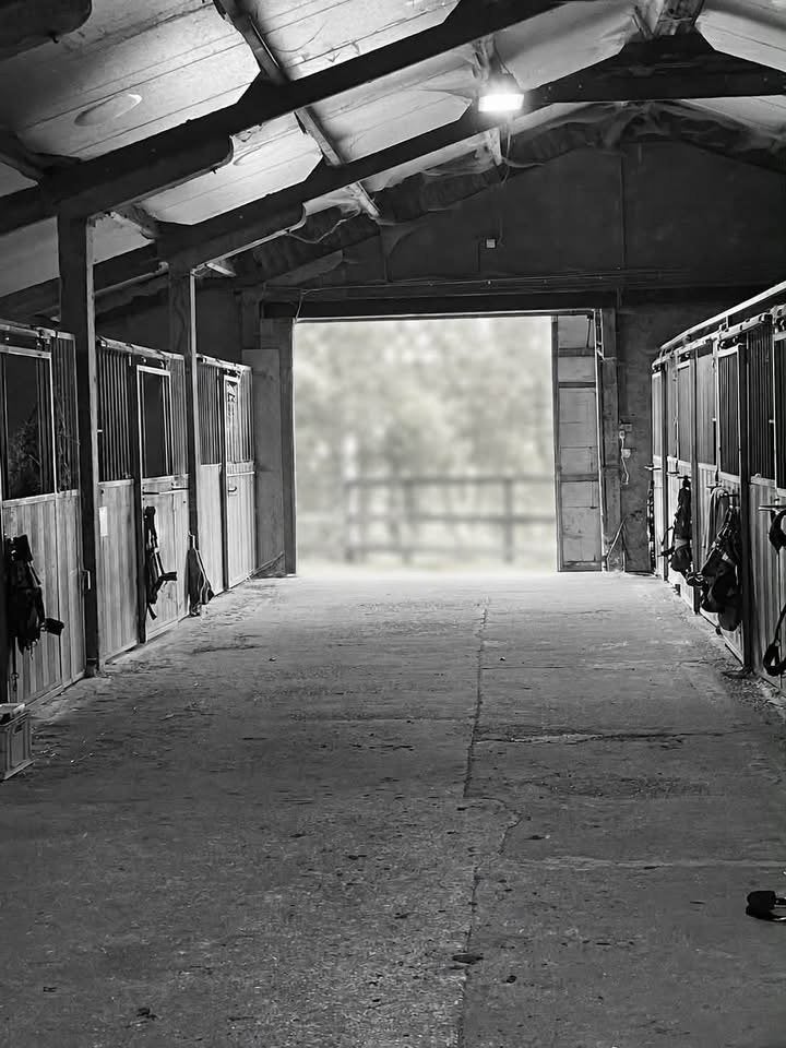 Plaats beschikbaar op stalling in Lievegem, Dieren en Toebehoren, Stalling en Weidegang, Stalling