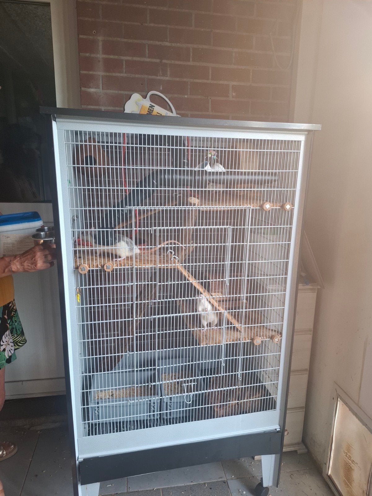Grote kooi met ratten, Ophalen