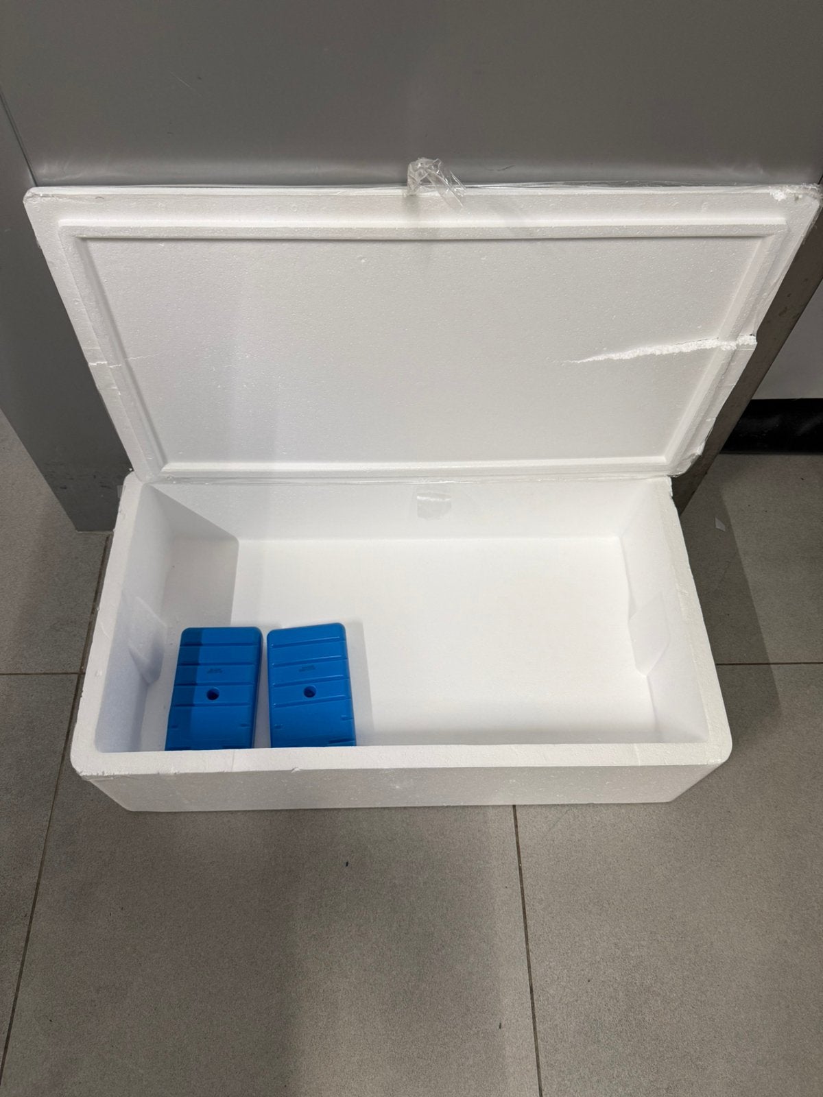 Isemo coolbox met koelelement, Caravans en Kamperen, Koelboxen, Ophalen, Zo goed als nieuw, Koelbox, Koelelement
