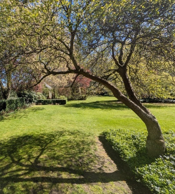 Ervaren en praktische tuinhulp gezocht – omgeving Bree, Tuin en Terras, Ophalen