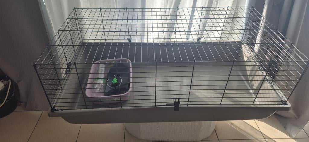Cage, Enlèvement, Cage, Lapin