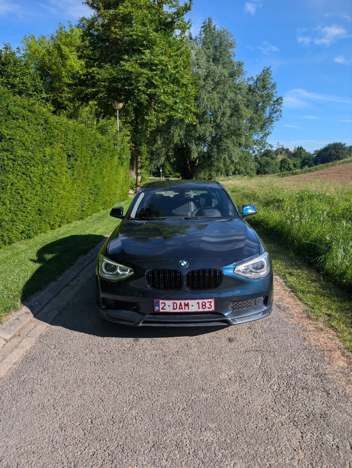 BMW 1 Serie 114i, Auto's, BMW, Particulier, Apple Carplay, Benzine, 5 deurs, Handgeschakeld, Blauw, Zwart, Stof, Achterwielaandrijving